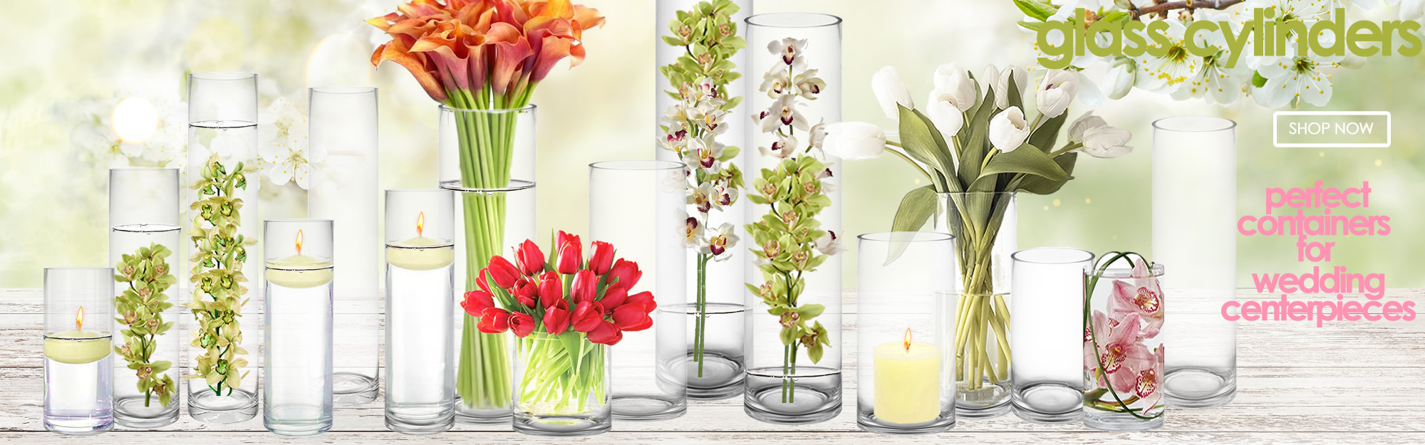 Click to view more cylinder vases