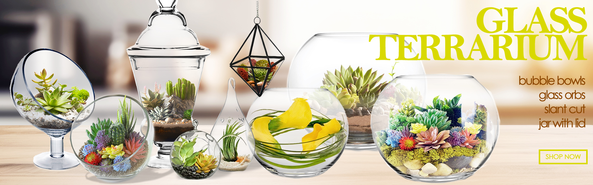Click to view more terrarium vases