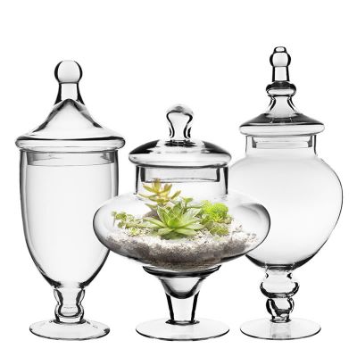 Apothecary Glass Bell Shaped Jars Store Display Candy Terrariums Set of 3 Vintage