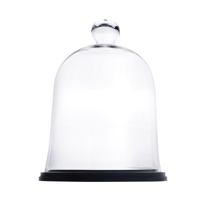 Glass Cloche Dome Bell With Polished Nickel Base by Hill Interiors 