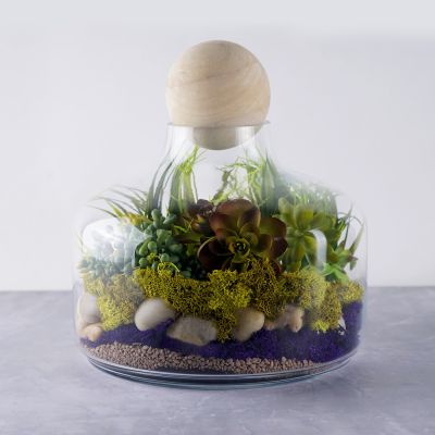 Ball Shaped Glass Cover Micro Landscape with Wood Cork Flower Terrarium Vase 