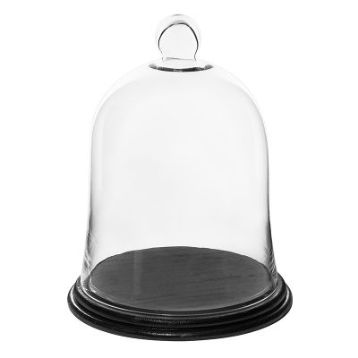 Clear Glass Dome Display with Wooden Base 6-Inch 