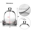 8" Glass Dome Cloche Plant Terrarium Bell Jar with Glass Tray