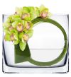 Rectangular Glass Vases 6" Oval Rounded Edge Slender (Free Shipping) 
