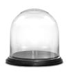 11" Decorative Glass Dome Cloche Plant Terrarium Bell Jars with Wood Base