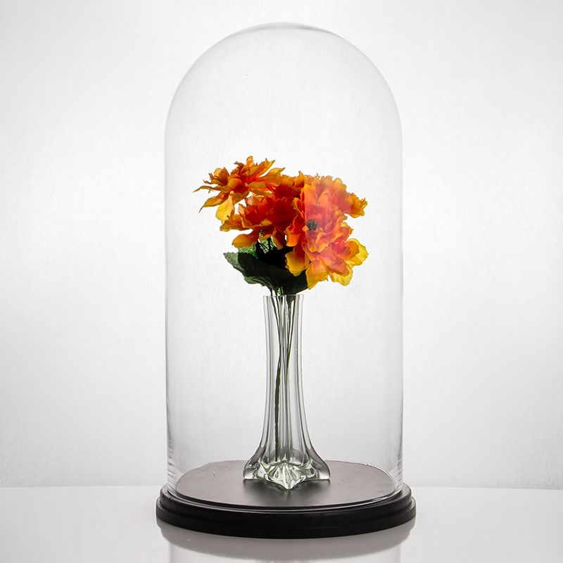 Clear Dust-proof Decorative Glass Cloche Plants and Flowers Holder with Base 