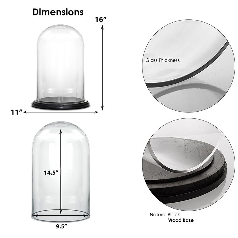 Plymor 1.85" x 2.875" Mini Glass Display Dome Cloche Walnut MDF Base 