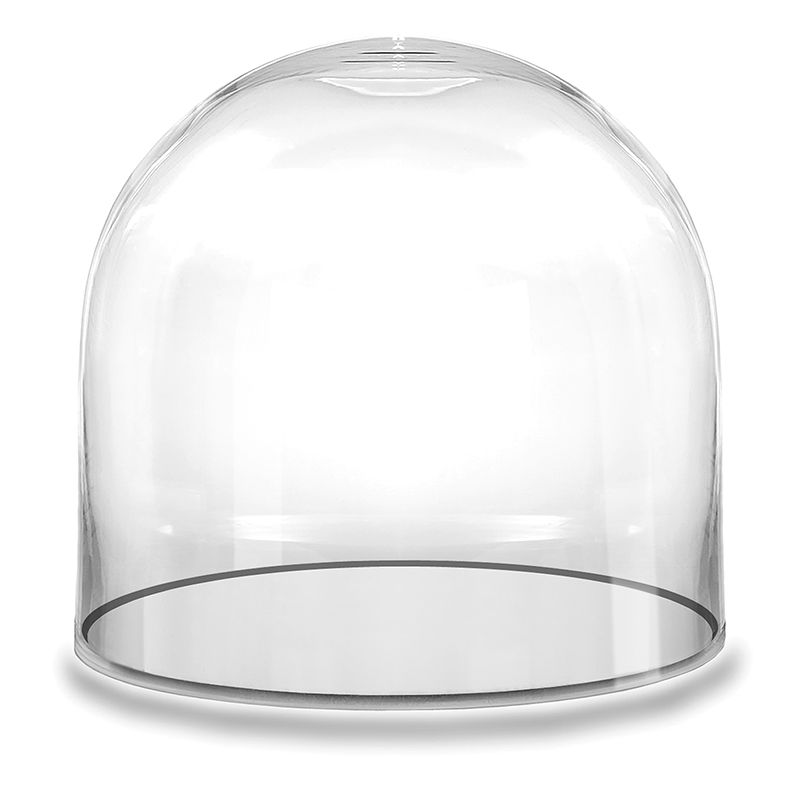 Vertolking Inzichtelijk golf Large Glass Cloche Display Dome Cover Bell Jar | Glass Vases Depot
