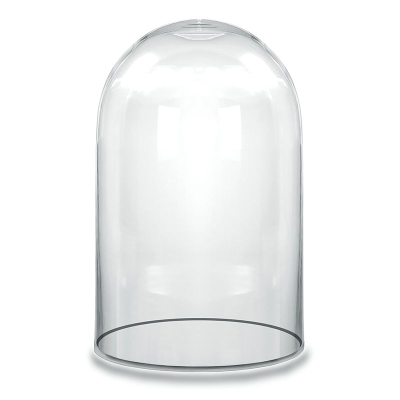 Cloche jewelry holder sales