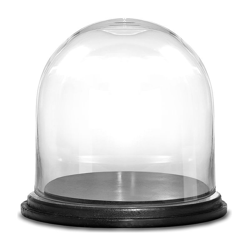 Handmade Mouth Blown Clear Circular Glass Display Cloche Dome with Black Wood... 
