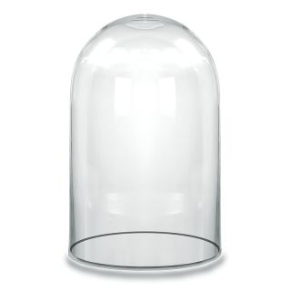 Glass Display Dome Cloche Bell Jar With Wooden Base for DIY Decor_Black A 