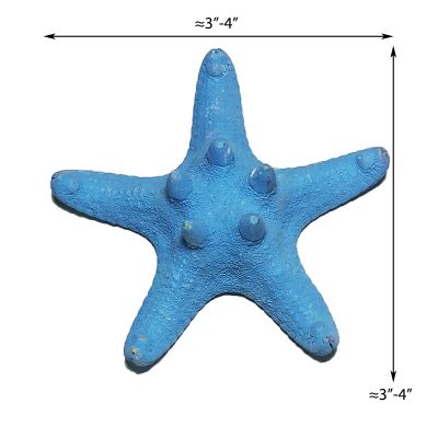 3"-4" Baby Blue Knobby Horned Sea Star Vase Fillers