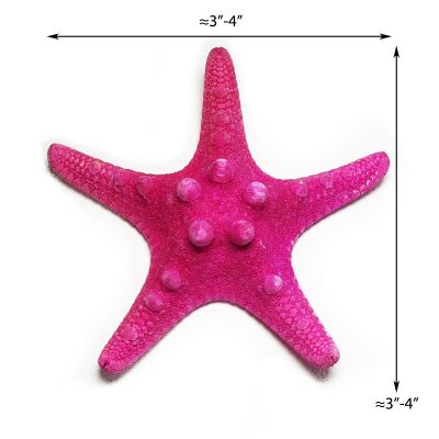 3"-4" Fuchsia Pink Knobby Horned Sea Star Vase Fillers