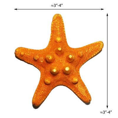 3"-4" Sunset Orange Knobby Horned Sea Star Vase Fillers