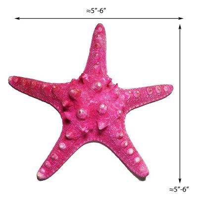 5"-6" Fuchsia Pink Knobby Horned Sea Star Vase Fillers