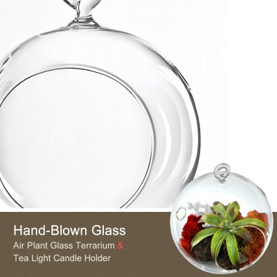 5.5" Glass Plant Terriarium Tealight Candle Holder
