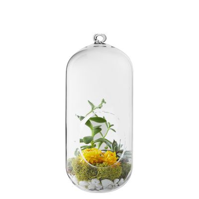 9.5" Glass Hanging Plant Terrarium Capsule Tealight Holder