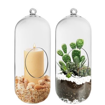 12" Glass Hanging Plant Terrarium Capsule Tealight Holder