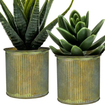   3" x 3" Zinc Metal Planter Cups with Rustic Patina Finish, Pack of 288
