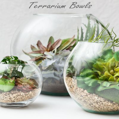 Glass Footed Fruit Bowl Terrarium Kitchen Pedestal Centerpiece