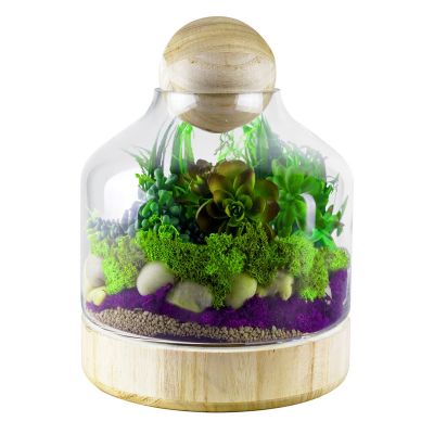 10" Danish Terrarium Glass Dome Cloche with Ball Stopper and Wood Base