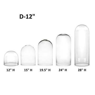 12" Decorative Glass Dome Cloche Plant Terrarium Bell Jars