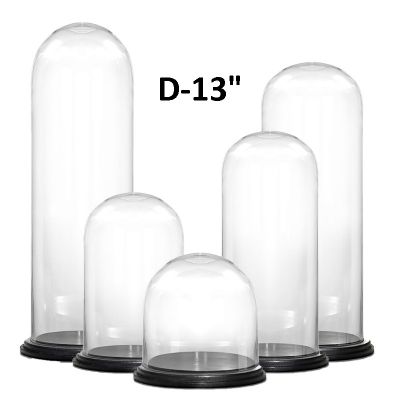 13" Decorative Glass Dome Cloche Plant Terrarium Bell Jars with Wood Base