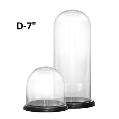 Glass Cloche Display Dome With Black Wood Base H-7" to 15", D-7"
