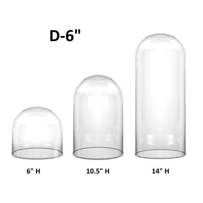Glass Dome Cloche H-6" to 14", D-6" (Multiple Sizes)