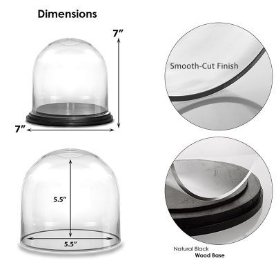 Glass Cloche Display Dome With Black Wood Base (H:7" D:7")