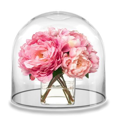 10" Decorative Glass Dome Cloche Plant Terrarium Bell Jars