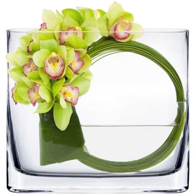 Rectangular Glass Vases 6" Oval Rounded Edge Slender (Free Shipping) 