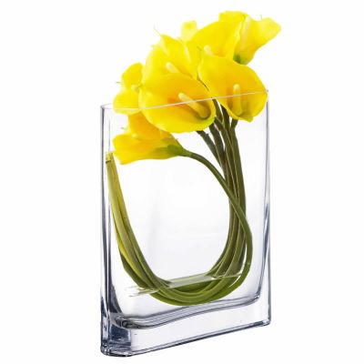 8" Slender Rounded Rectangular Glass Vases