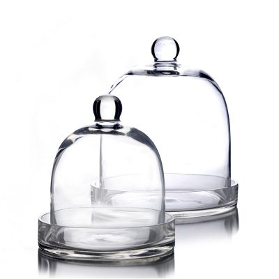 Glass Cloches Dome with Glass Tray Tabletop Terrarium
