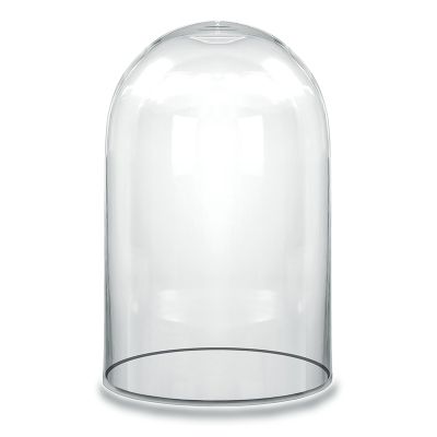 14" Decorative Glass Dome Cloche Plant Terrarium Bell Jars