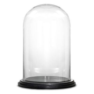 20" Decorative Glass Dome Cloche Plant Terrarium Bell Jars with Wood Base
