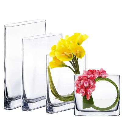Rectangular Glass Vases Oval Rounded Edge Slender, Multiple Sizes