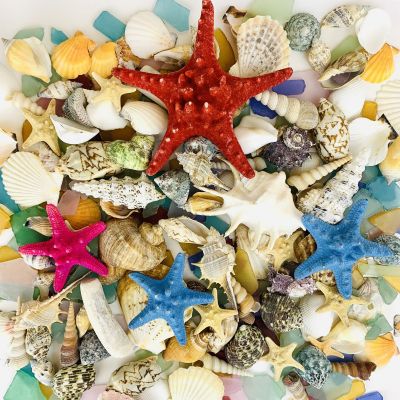Colorful Mini Sea Shells Mixed Beach Seashells Starfish - Perfect for  Candle Making, Beach Theme Party Decor, Fish Tank