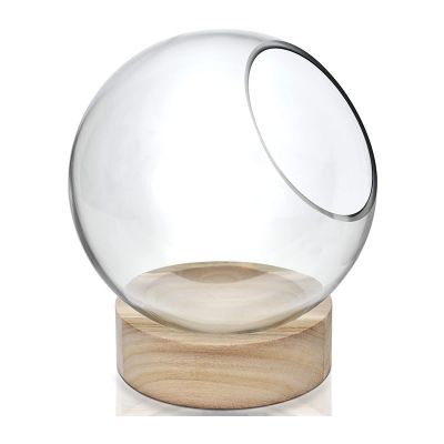 Slant Cut Bubble Terrarium Bowls with Wood Base. H-8.5" (Free Shipping)