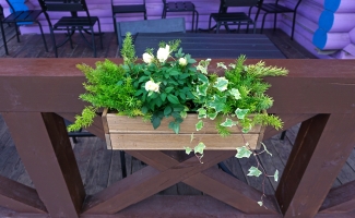 DIY Project: Home Wooden Planter Boxes