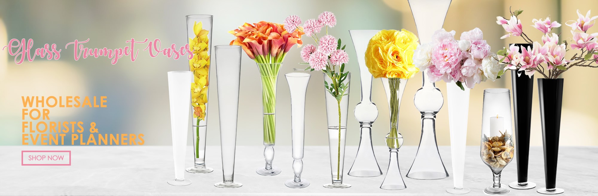 Click to view more terrarium vases