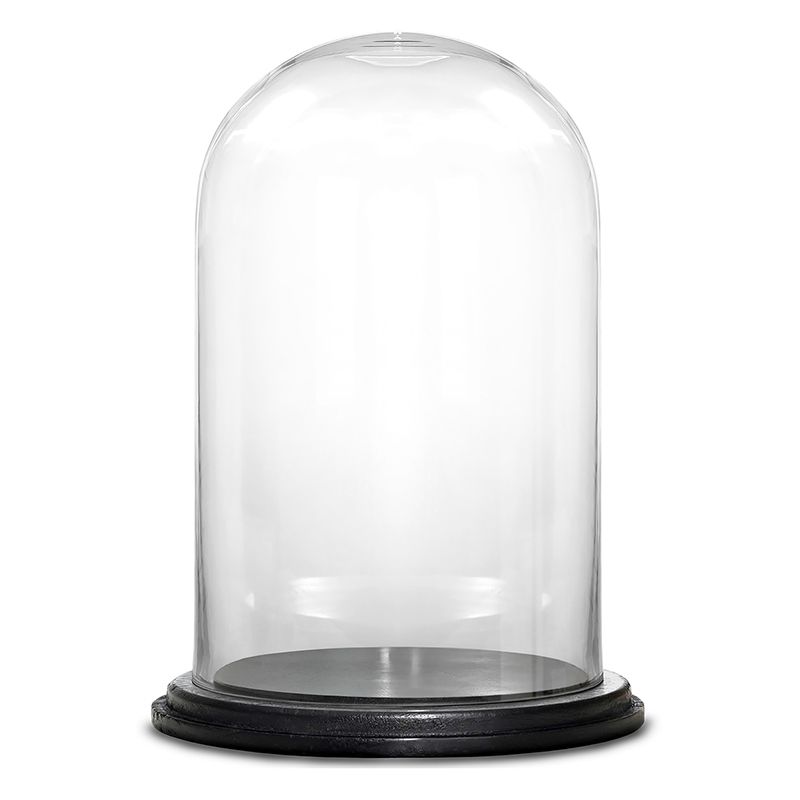 Glass Cloche Display Dome Black Wood Base Glass Vases Depot